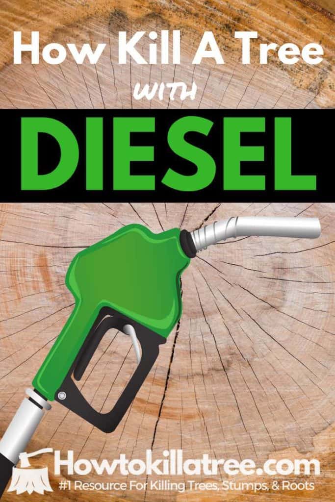Will Diesel Kill Trees? (Only If You Do This First) BACKYARDABLES