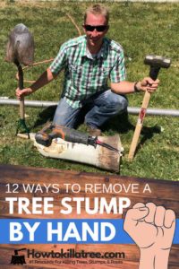 how to remove a tree stump by hand, how to rot a tree stump, how to remove a tree stump with epsom salts, how to burn a stump, how to remove a tree stump, how to remove a tree stump without a grinder