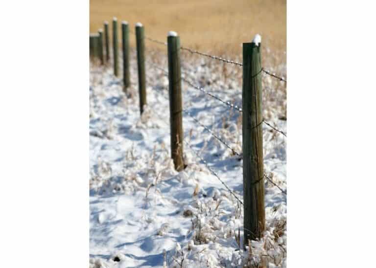 How To Set A Fence Post By Yourself BACKYARDABLES