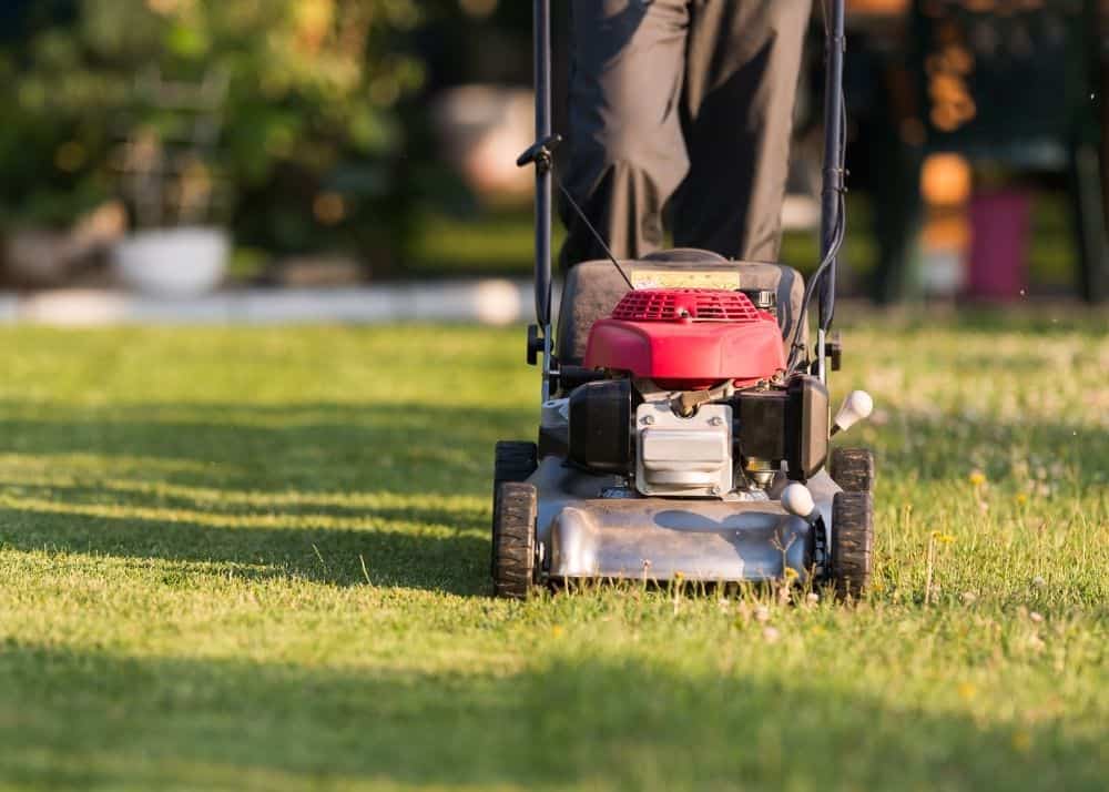 Top 5 Ways To Winterize Your Lawn Mower BACKYARDABLES