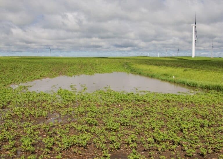 Top 10 Ways To Remove Standing Water From Your Yard BACKYARDABLES