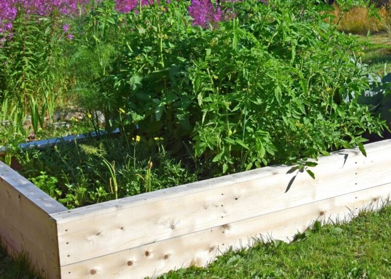 How To Prepare Your Raised Beds For Spring BACKYARDABLES