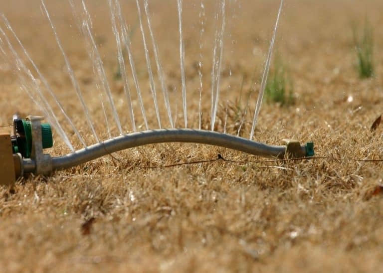 How To Water Your Lawn BACKYARDABLES