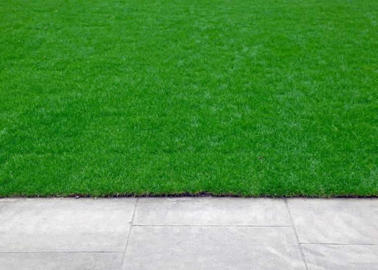 How To Edge Your Lawn BACKYARDABLES